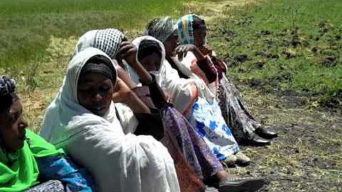 Halfway through the 'Seeds for Needs' project in Ethiopia