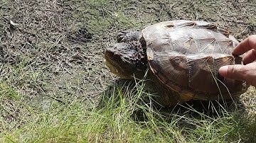 Tắm nắng sáng tại Hồ câu tôm ẩm thực sân vườn Thanh Đa