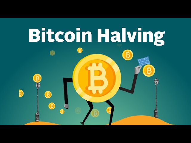 What is Bitcoin Halving? Explained by CoinGecko class=