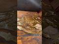 Gold leaf #art #artist #muslimart