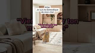 Pov Je Suis La Domestique De Mon Chat