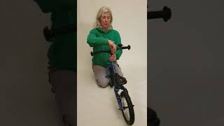 Ridgeback Scoot & Scoot XL Assembly