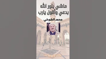 ماشي بنور الله بدعي وأقول يارب محمد الطوخي 