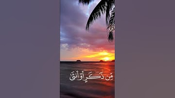 آيات من سورة غافر برواية الدوري عن الكسائي #القران_الكريم #قرآن #القرآن #تزكية #السنة #اناشيد
