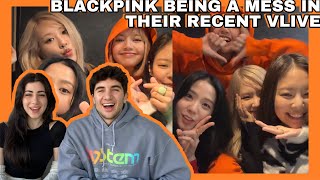 MISSED THEM!! BLACKPINK being a mess on their recent vlive REACTION!!