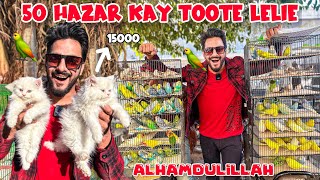 ALHAMDULILLAH 50 HAZAR KAY BHT SAARE BIRDS LE LIE😍 | Mishkat Khan | The Fun Fin