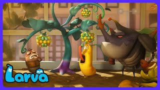 Larva - Seltsame Beeren! | Kinderfilme | WildBrain Action Arena - Deutsch screenshot 5