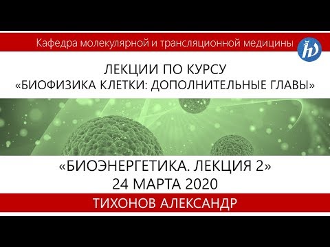 Биоэнергетика. Лекция 2