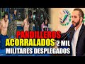 🔴 #ultimahora  PANDILLER0S ACORRALADOS en Comasagua  | ✅ Rafael Correa OPINA DE Nayib Bukele