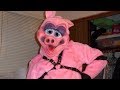 The Most Cursed Furry Images | 2