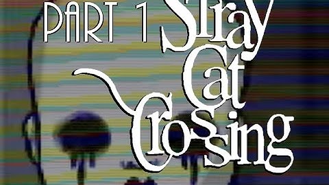 Stray Cat Crossing | Part 1