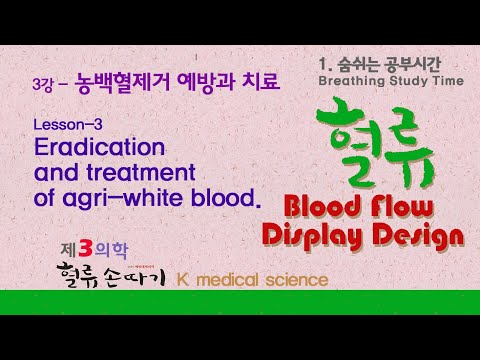 폐 염증 3강. 폐 염증을 빼내는 혈류손따기 시연장면.  Demonstrate removal of concentrated white blood to revive the lungs.