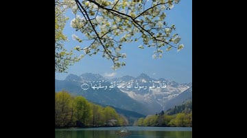 أواخر سورة الشمس || تلاوة مميزة لفضيلة الشيخ ياسر الدوسري #دار_المتقين #quran 🤍