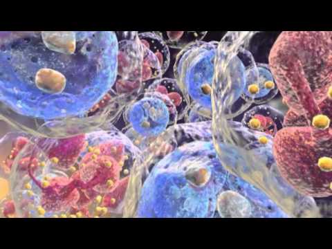 Chronic Myeloid Leukemia Animation YouTube Chronic Myeloid Leukemia Animation YouTube
