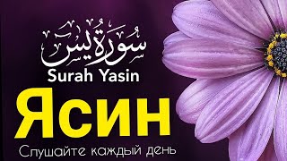 СУРА ЯСИН СЛУШАЙТЕ КАЖДЫЙ ДЕНЬ 13 марта 2024 г.