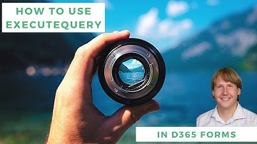 How To Use ExecuteQuery In D365 Forms