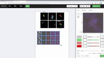 How to create figures in OMERO using OMERO.figure