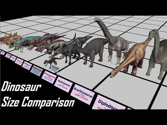 Dinosaur Size Comparison 3D - Youtube