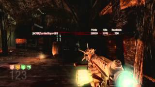 Black Ops: Shi No Numa Solo World Record Round 140 - Commentary