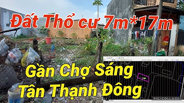 Đất Thổ Cư DT 118m2 (7m*17m) | Gần Chợ Sáng Tân Thạnh Đông , KDC Hiện Hữu | Giá 1tỷ6