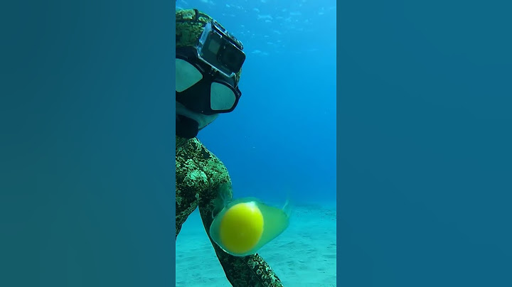 Diver Cracks Egg at 45 ft Deep #Shorts