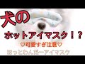 【ほっとわんだー】商品PR +マニュアル動画