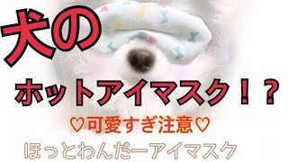 【ほっとわんだー】商品PR +マニュアル動画