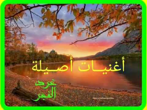 الفنان عبدالمنعم حسيب  عيونك