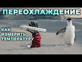 Гипотермия (переохлаждение). Как измерить температуру без градусника #ПроСМП