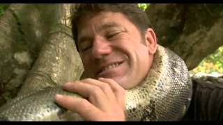 Animal Clip Of The Week Strangled By A Boa Constrictor Snake!