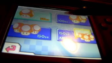 How to use Action Replay DS