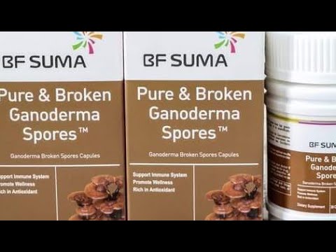 Pure and Broken Ganoderma
