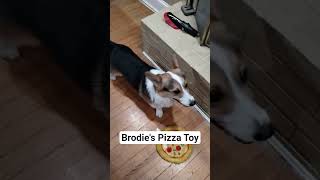 Brodies Pizza Toy
https://www.youtube.com/c/CwapThePlatinumOne?sub_confirmation=1
LIKE, SUBSCRIBE AND RING THE BELL FOR MORE DOGGY SHORTS Brodies Pizza Toy