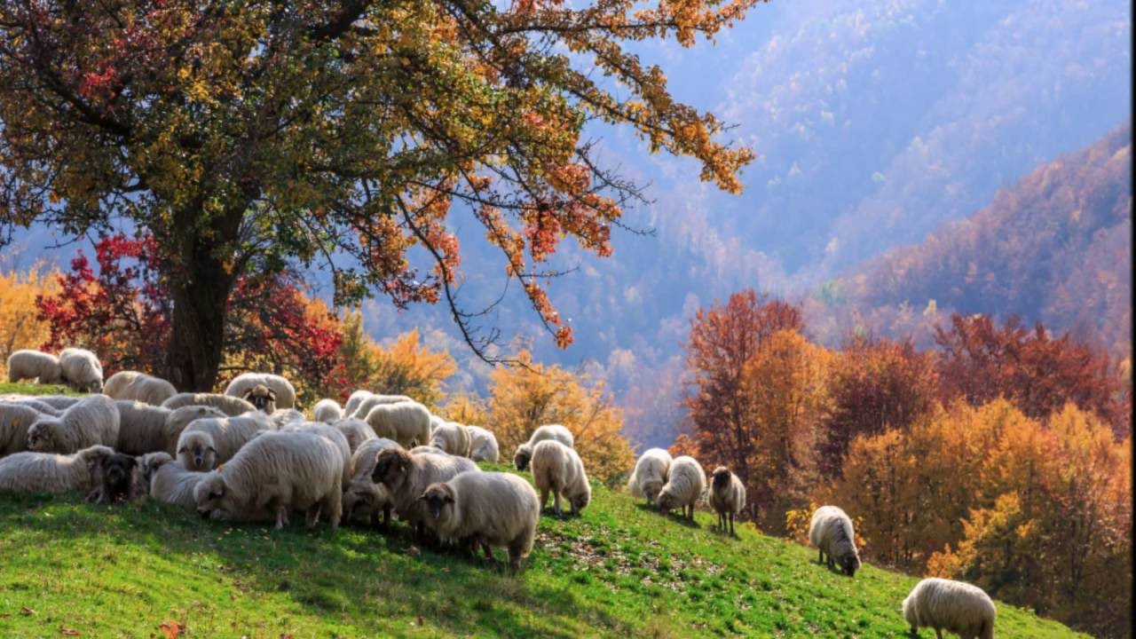 осінь в україні фото онлайн