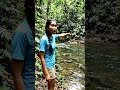 इतने सारे साँप😮😲 #reels #trending #shorts #itnesnake