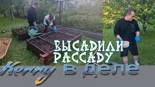 Высадили рассаду. Кери в деле 💪👍