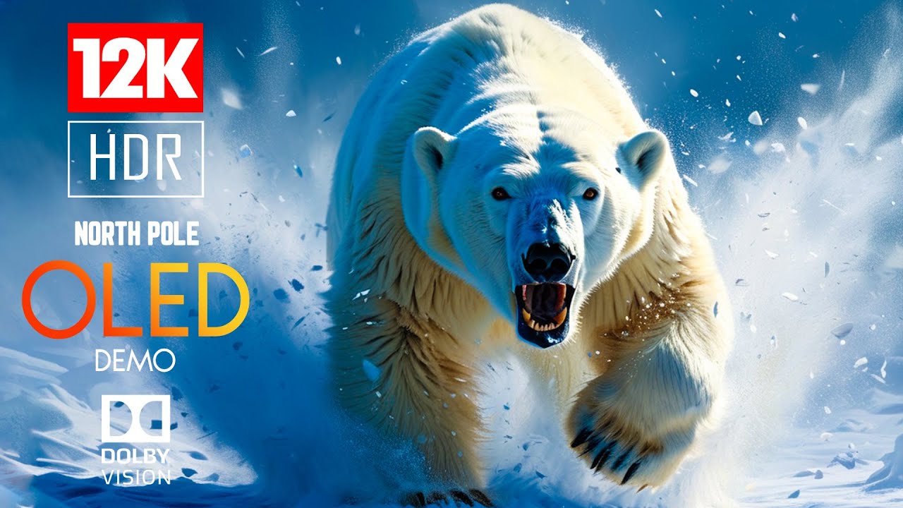 Another World 12K HDR 120 FPS - 12K Video Dolby Vision 