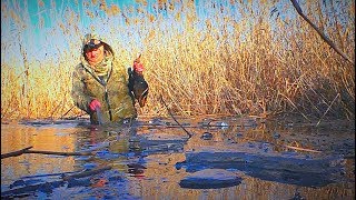 Охота на утку во льдах. Мороз, пришла северная утка. Первый лёд 2018.