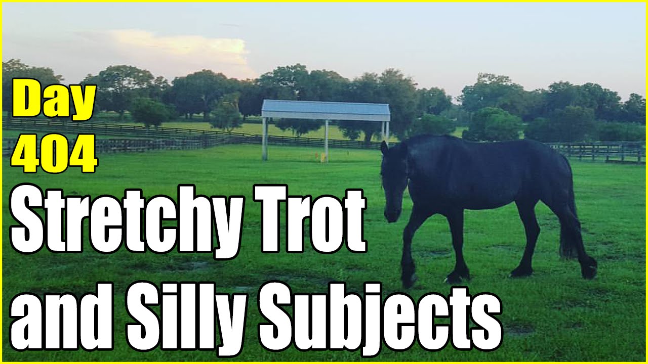 Stretchy Trot and Silly Subjects | Daily Vlog Day 404 | Connerton Adventures