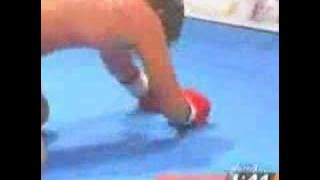 Yusuke Fujimoto vs Musashi