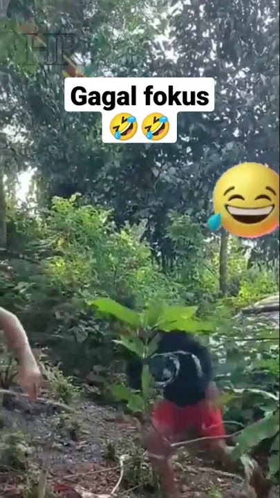 Bikin Ngakak,lucu banget gagal fokus salah potong🤣🤣warg 62