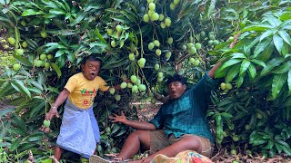 Mango 🥭 Hunting|திருட்டு மாங்காய் வேட்டை குட்டிசிறுத்தையுடன்|Village Hunting Eating Delicious Mango