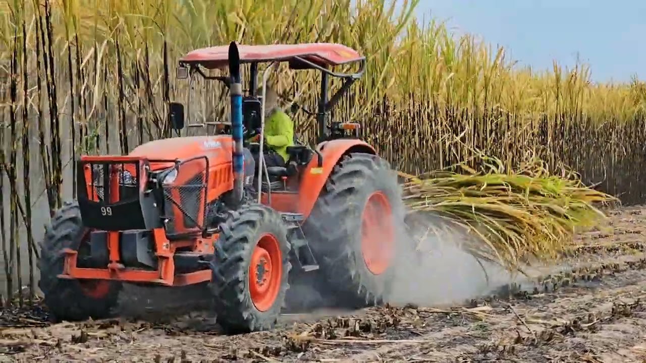 รีวิวการใช้งานจริงของเครื่องตัดอ้อยค่ายช้างแทร็คเตอร์