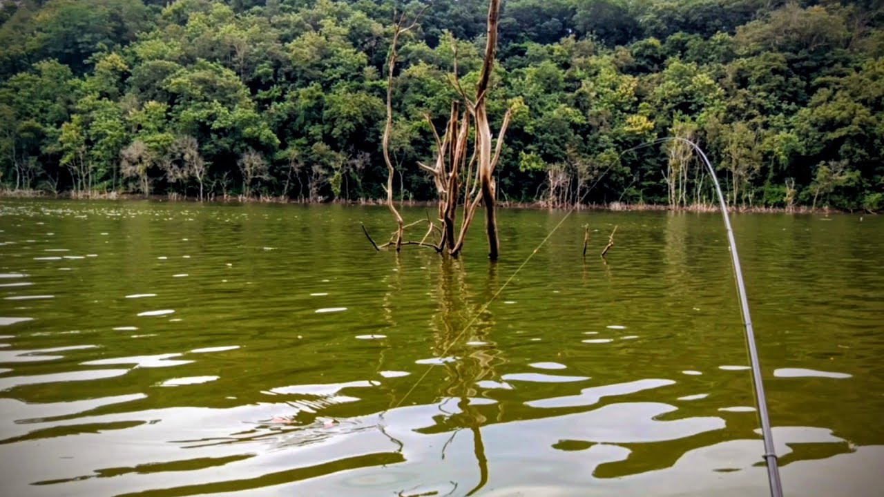 Akhirnya bisa mancing lagi‼️ waduk bendo ikan mulai makan