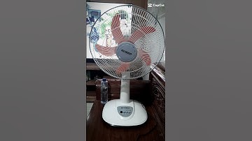 Quạt lửng Senko L1638 kem môn (năm 2022)