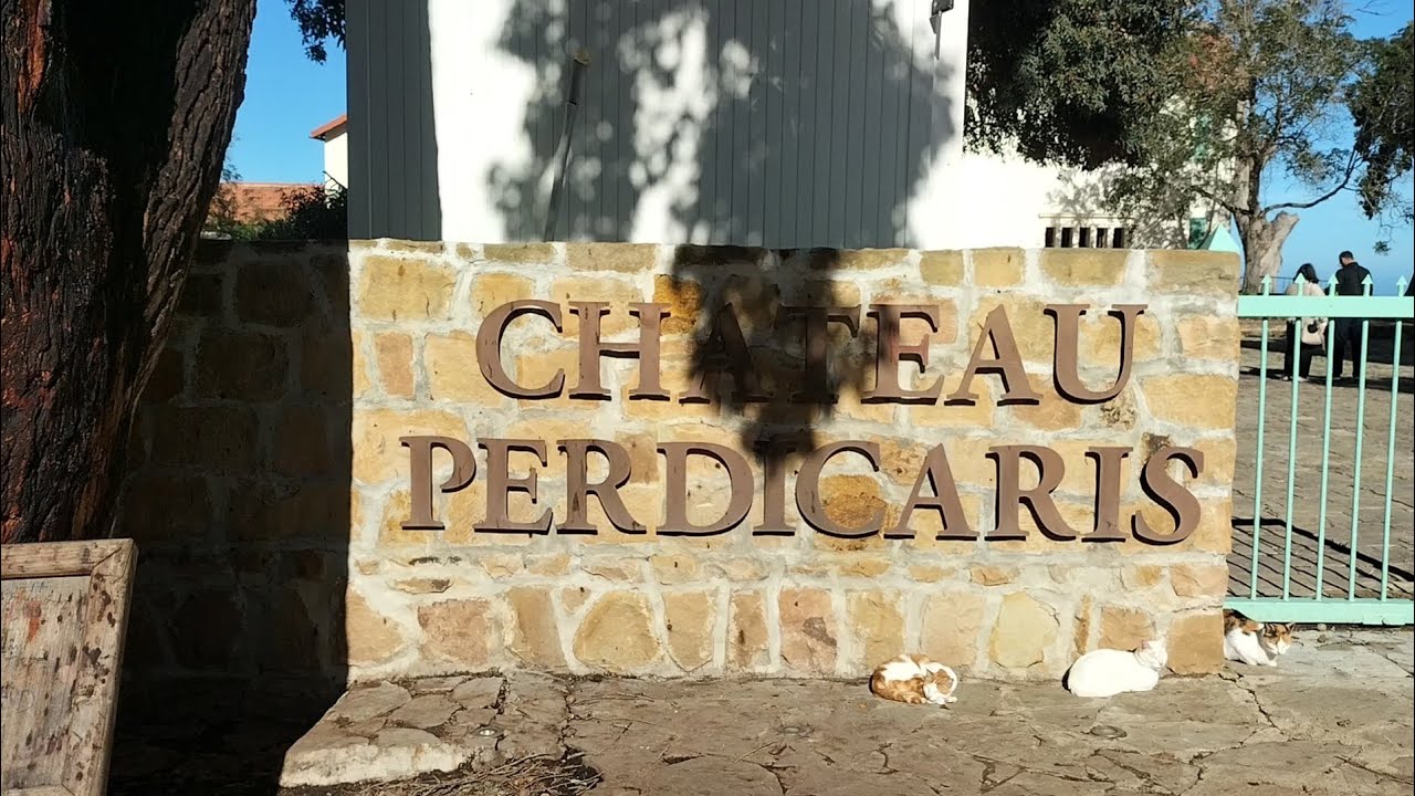 🌲 إطلالة رائعة من غابة الجبل الكبير بطنجة | البحر والطبيعة فمكان واحد