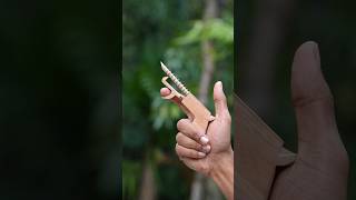 Mini Nature-Powered Clicker – Handmade from Wood & Leaf #art #diy #creative