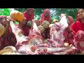 Beef  pumpkin different types curry recipe  full cow legs processing  cooking by village lady