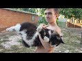 Самые крупные кошки Кот Марсель на даче Самые крупные кошки Кот Марсель на даче