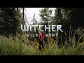 Kaer Morhen - One hour of Ambient music and sounds from The Witcher 3: Wild Hunt